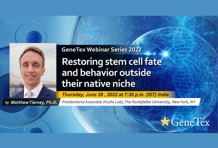 Restoring stem cell fate and behavior outside their native niche-GeneTex