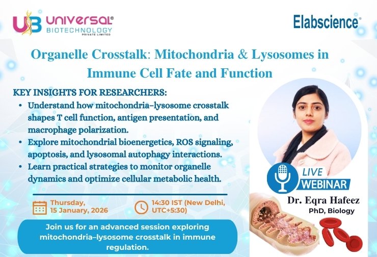 Organelle Crosstalk - Mitochondria & Lysosomes in Immune Cell Fate and Function