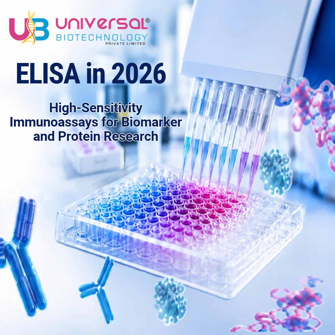 ELISA in 2026: High-sensitivity immunoassays for biomarker and protein research