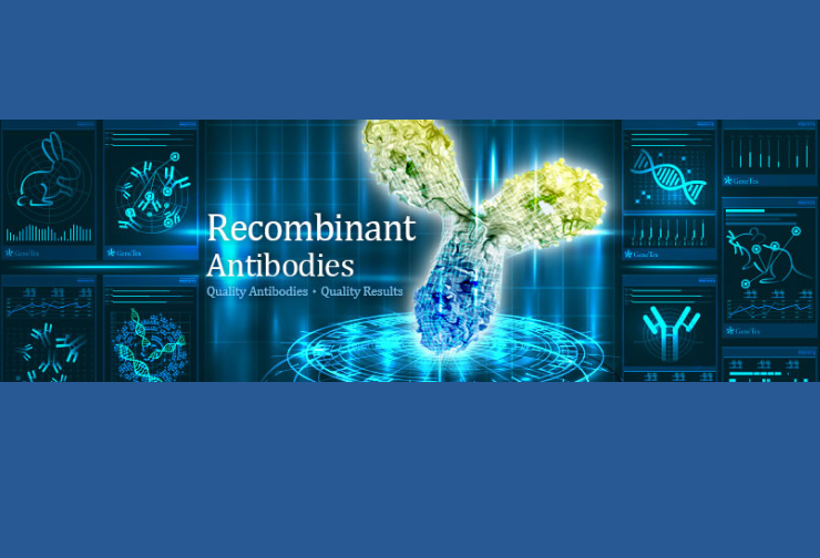 Recombinant Antibodies are first choice of researchers now a days!