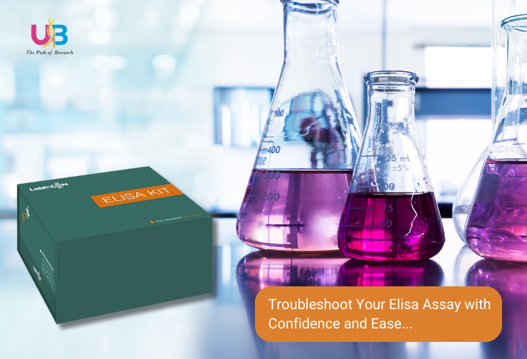 Mastering Elisa Assay Troubleshooting: Your Ultimate Guide to Success