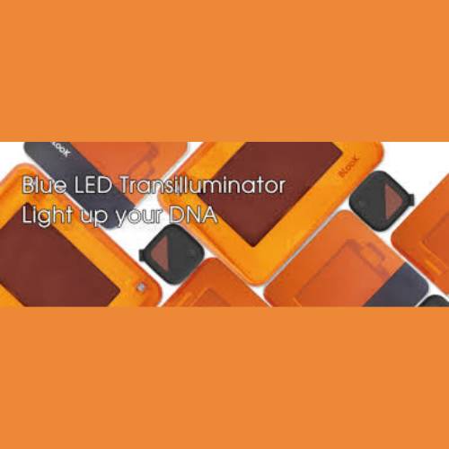 LED Transilluminators