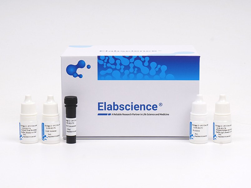 2-step Plus Poly-HRP Anti Mouse/Rabbit IgG Detection System (with DAB Solution)
