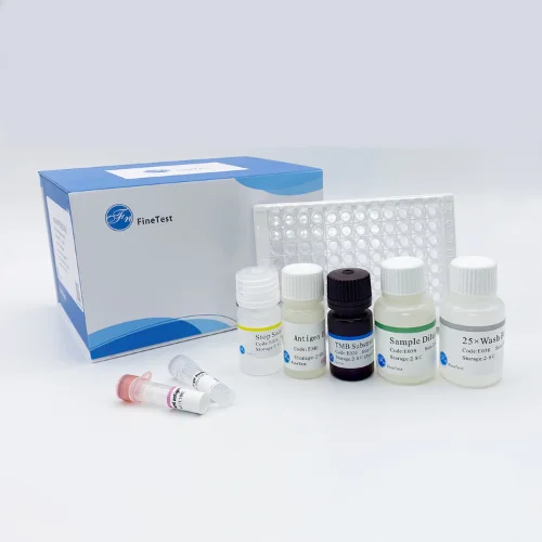 Mouse MPO(Myeloperoxidase) ELISA Kit