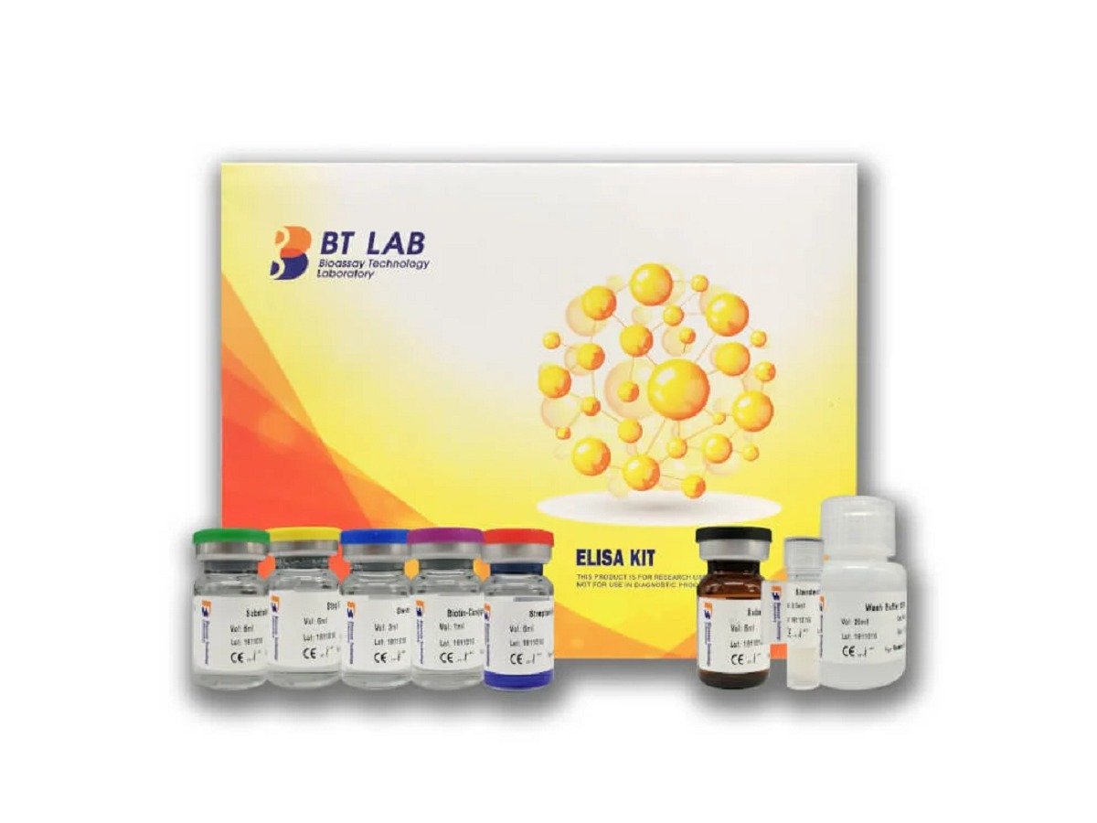 Mouse Insulin-like Growth Factor 1, IGF-1 ELISA Kit