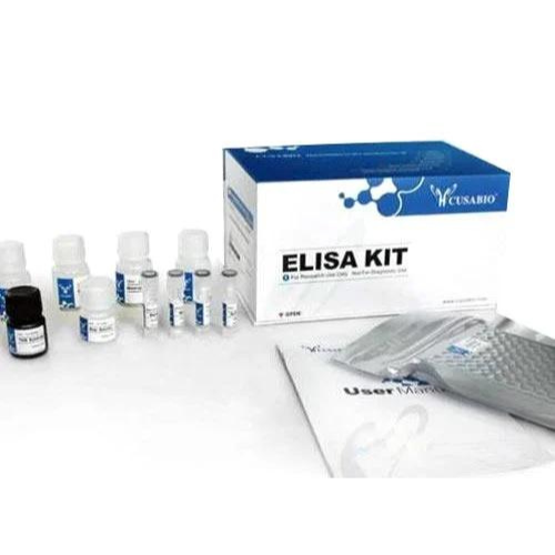 Rat Fibroblast Growth Factor 23 (FGF23) ELISA Kit