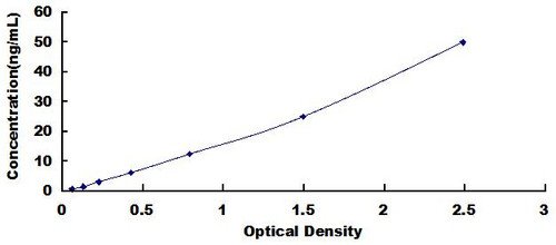Rat 2',5'-Oligoadenylate Synthetase 1 (OAS1) ELISA Kit