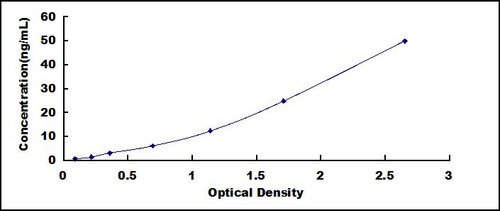 Human 2',5'-Oligoadenylate Synthetase 2 (OAS2) ELISA Kit