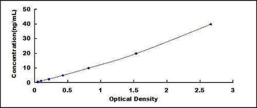 Rat Cluster Of Differentiation 73 (CD73) ELISA Kit