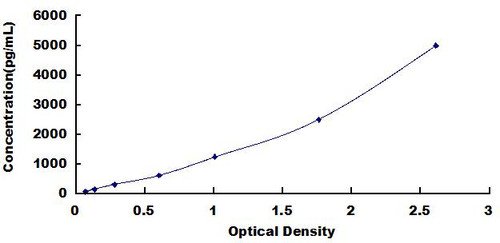 Human A Disintegrin And Metalloprotease 10 (ADAM10) ELISA Kit
