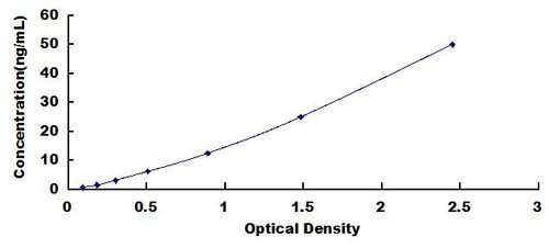 Human Actinin Alpha 4 (ACTN4) ELISA Kit