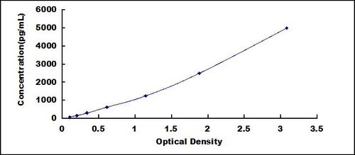 Rat Activating Transcription Factor 4 (ATF4) ELISA Kit