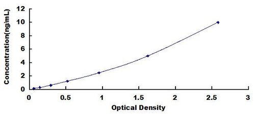 Rat Activity Regulated Cytoskeleton Associated Protein (ARC) ELISA Kit