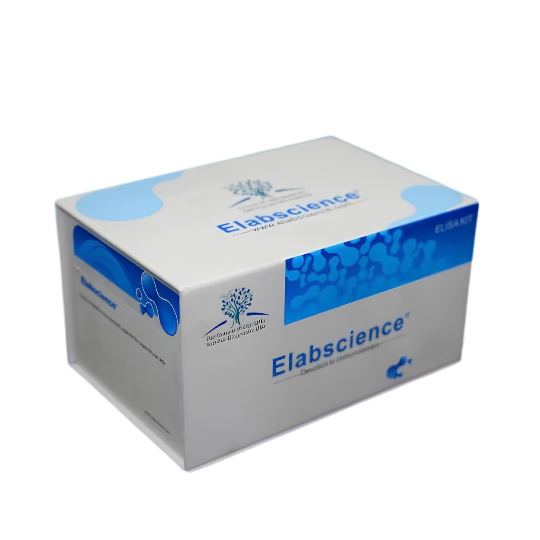 Annexin V-FITC/PI Apoptosis Kit (E-CK-A211)