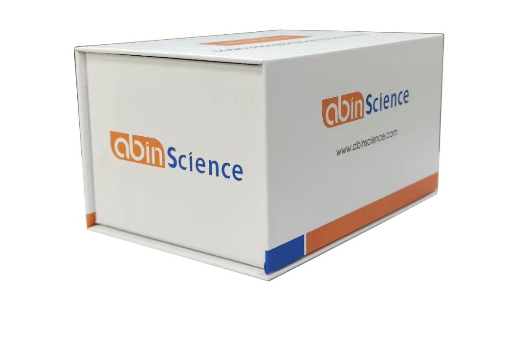 Anti-HRSV F/Fusion Glycoprotein F0 Human IgA ELISA Kit (AK421038)