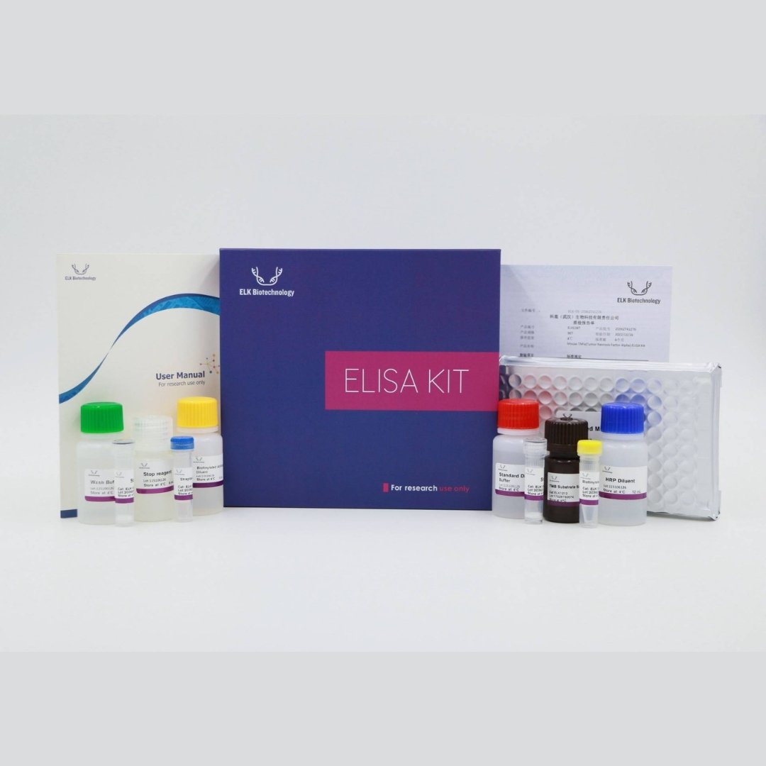 Rat CAT (Catalase) ELISA Kit