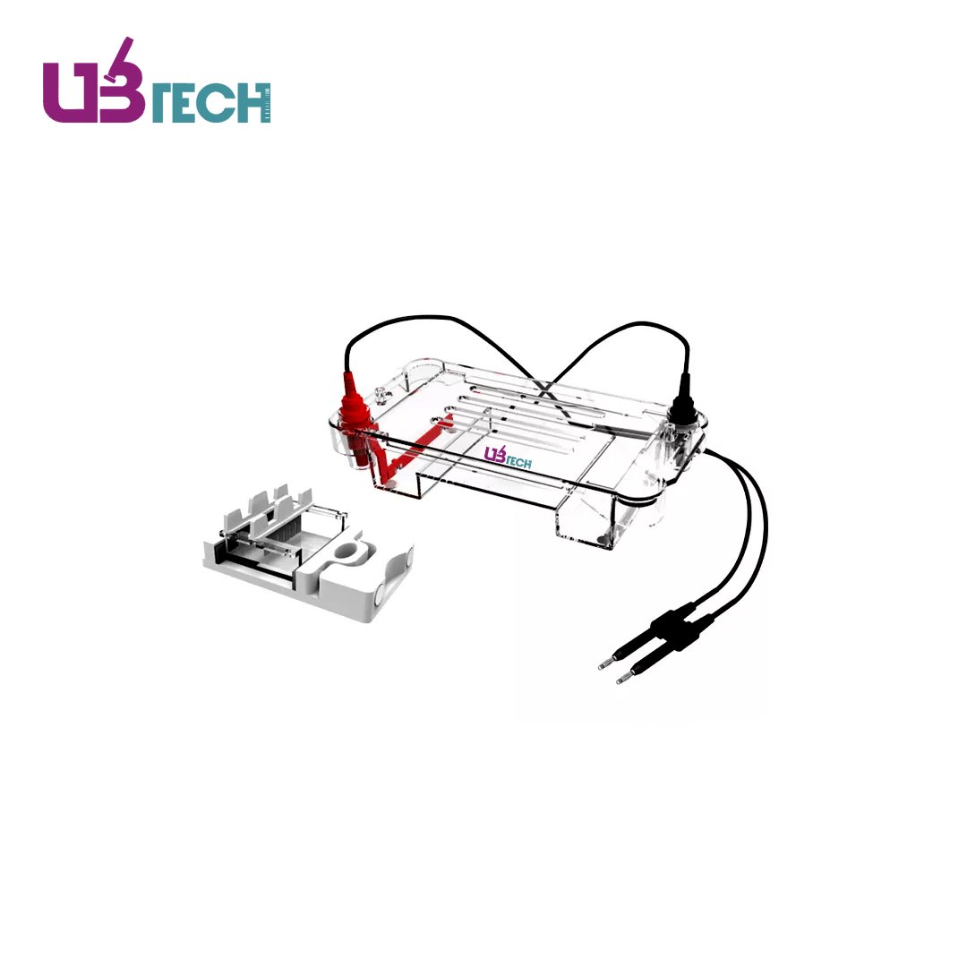 Horizontal Electrophoresis Tank