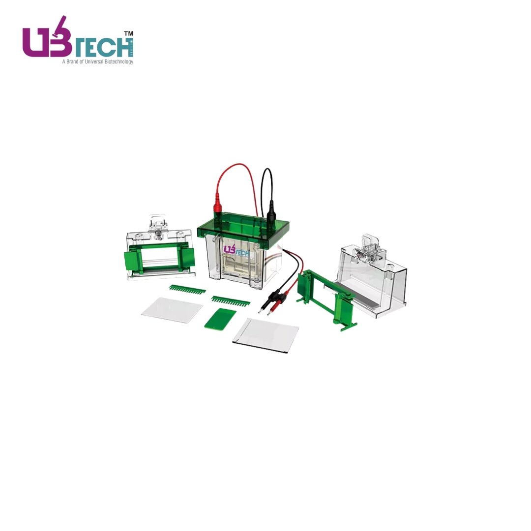 Vertical Electrophoresis Tank