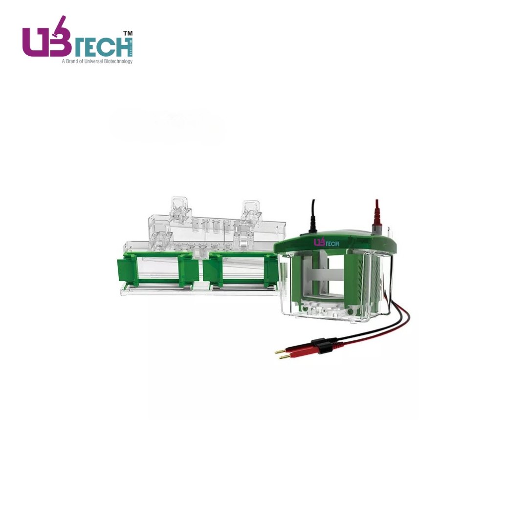 Vertical Electrophoresis Tank UET-V04