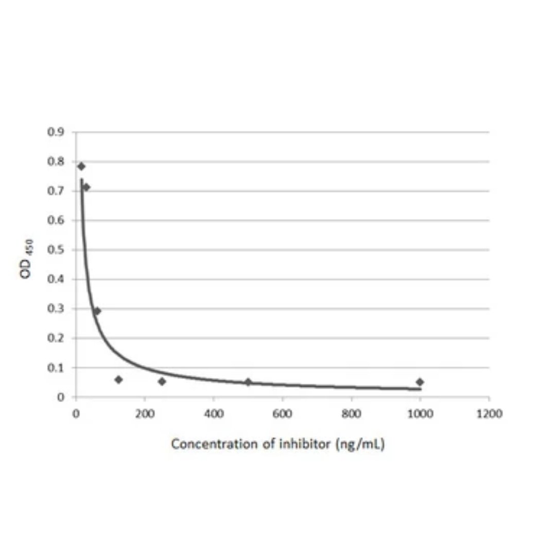 SARS-CoV-2 (COVID-19) Spike S1 Protein, His Tag (active)