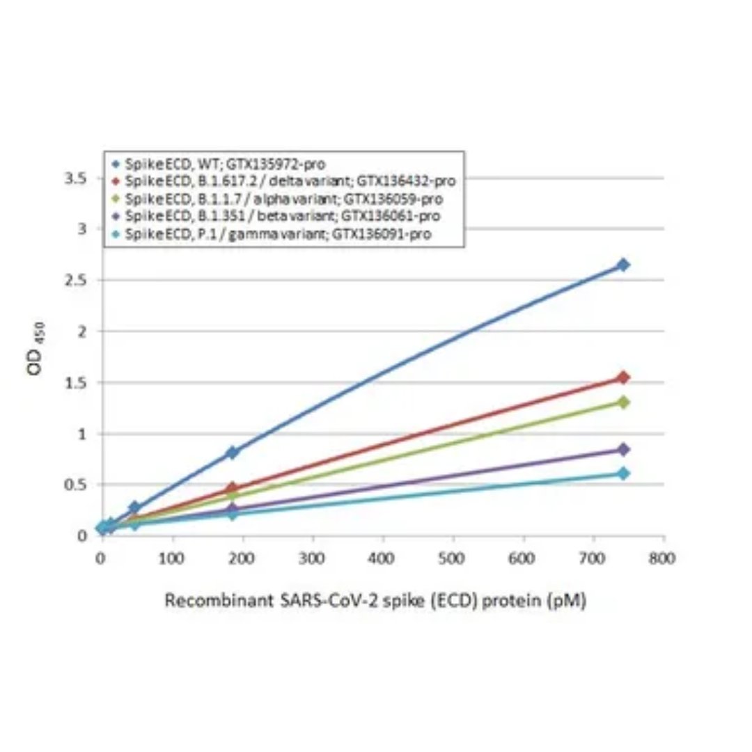 SARS-CoV-2 (COVID-19) Spike (ECD) Protein, His Tag (active)