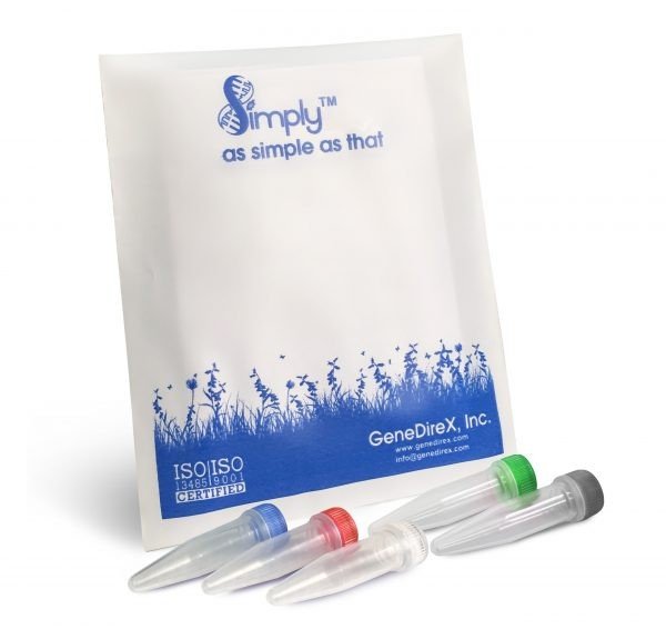 GScript First-Strand Synthesis Kit