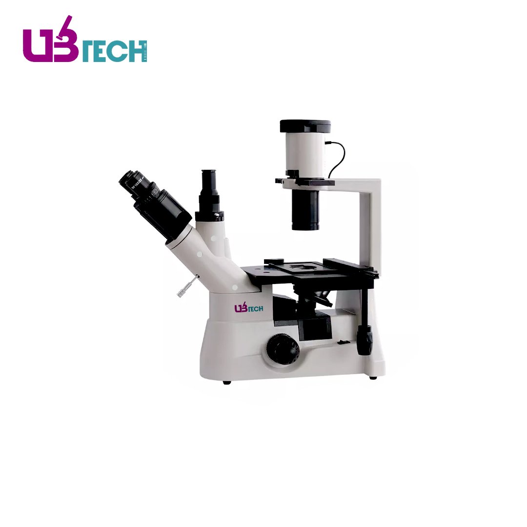 Inverted Microscope, Trinocular Head