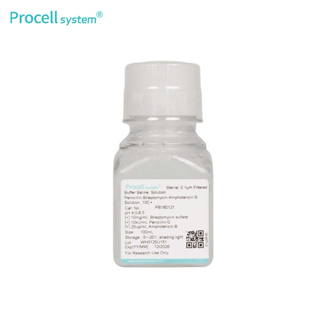 Penicillin-Streptomycin-Amphotericin B Solution, 100 ×
