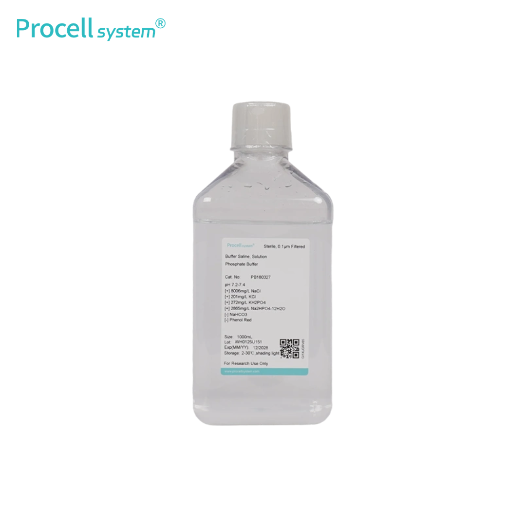 Phosphate Buffer (PBS, 1 ×)