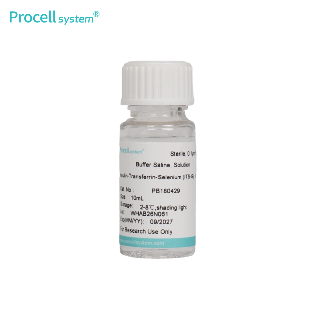 Insulin-Transferrin-Selenium (ITS-G), 100×