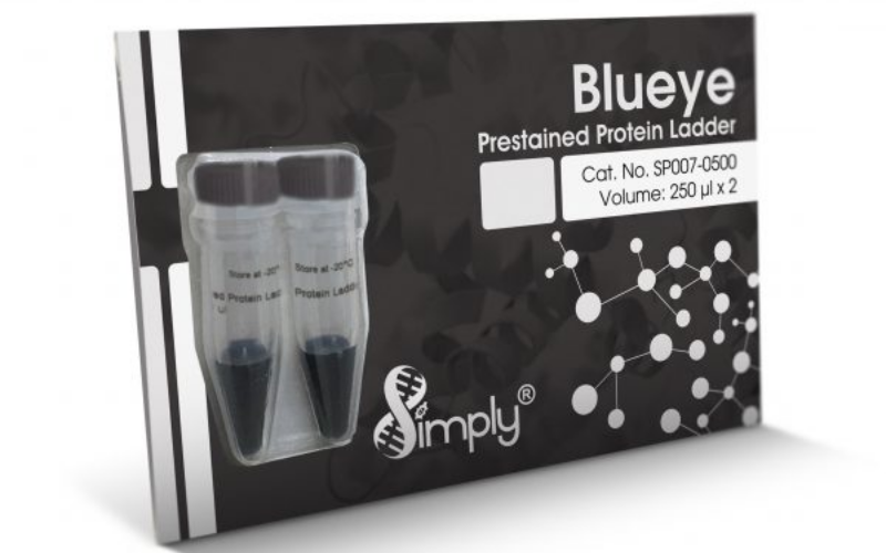 BLUeye Prestained Protein Ladder