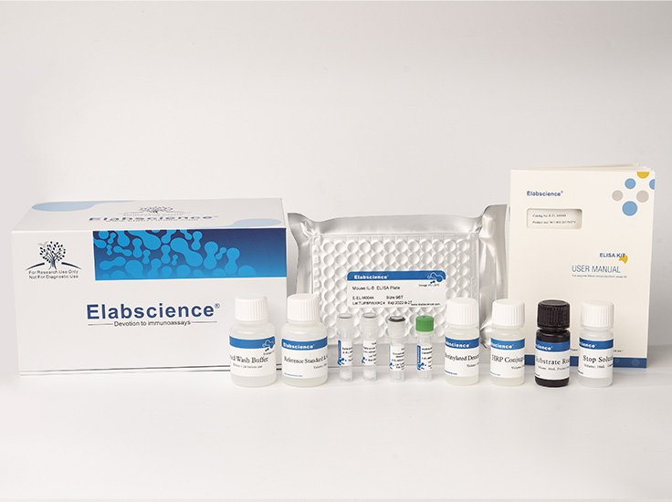 Human AChR-Ab(Acetylcholine Receptor Antibody) ELISA Kit  