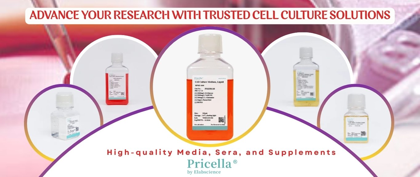Advance Your Research with Trusted Cell Culture Solutions