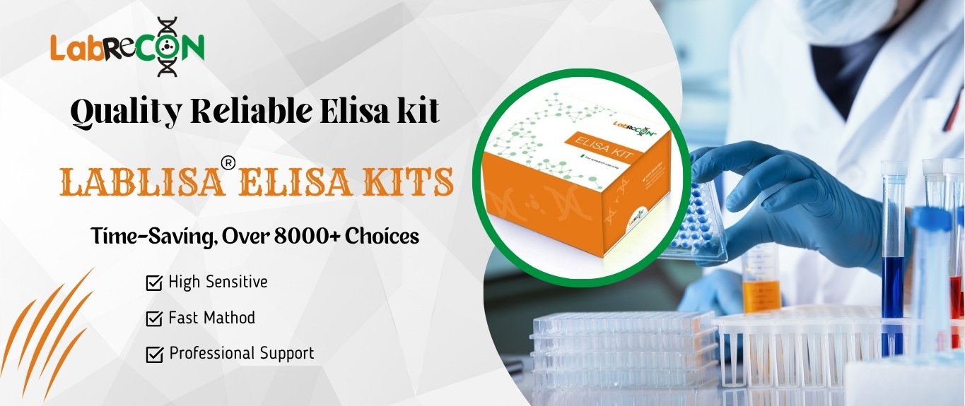 Lablisa Elisa kit